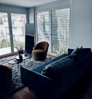 Lakefront View Entire Apartment with 2 bedrooms, 2 full bathrooms & Balcony Waterview - Reichenau - 9