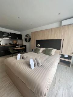 Superbe Studio avec balcon Rue d’Antibes - 6