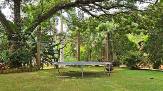 La Floresta - Cabañas con Naturaleza y Tranquilidad - 5