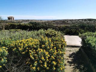 Résidence Copacabana - Appartement pour 6 personnes à Port Leucate avec vue sur la mer. Réf: 1COP_103A MAE-4684 - Port Leucate - 9