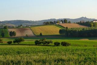 Cascina Manu - Rosignano Monferrato - 5