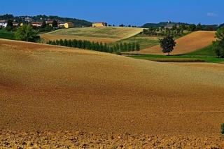 Cascina Manu - Rosignano Monferrato - 2