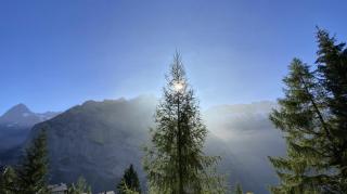 Un nid au paradis - Chalet traditionnel avec beaucoup de cachet - 7