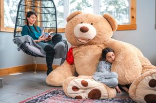 Maison contemporaine Tremblant- Spa & tranquillité - 5