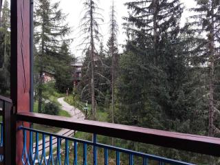 Résidence Mirantin 2 - Duplex pour 5 personnes proche des pistes et des commerces - Résidence calme dans le village de Charmettoger à Arc 1800 MAE-2195 - Arc 1800 - 7