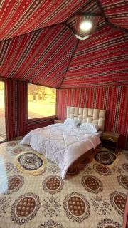 Mira Bedouin Camp - 9