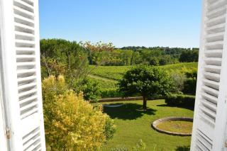 Château La Tuilière pool and it's own wineyard - 7