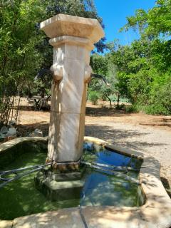 Domaine d'Avalon - Lorgues - 6
