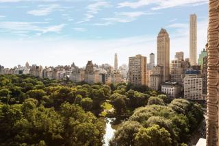 The Ritz-Carlton New York, Central Park - 7