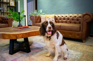 Monarch Campestre- Rionegro - 7