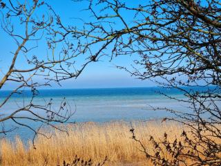 Ferienwohnung Deich und Meer in Stein - 3