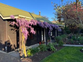 Pyke Cottage, Clyde - 8