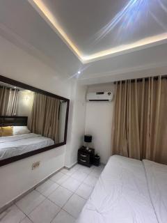 Luxury 2 Bedroom Apartment in the Heart of WUSE 2, WIFI,NETFLIX, 24hrs Light, YouTube, AirPlay - Abuja - 8