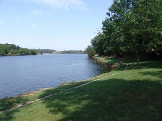 Chalet 2 chambres au calme avec terrasse, piscine chauffée et accès lac en Vendée - FR-1-783-26 - La Chapelle-Hermier - 4