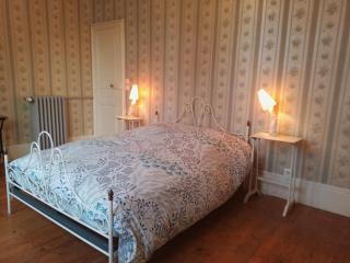 Maison de maître XIXe avec piscine, étang à proximité et équipements modernes - FR-1-489-505 - - 1