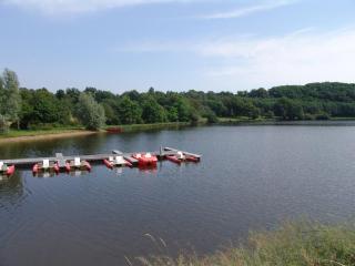 Chalet 2 chambres au calme, piscine chauffée, près du lac du Jaunay et plages de Vendée - FR-1-783-10 - La Chapelle-Hermier - 1