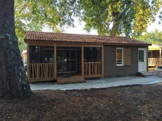 Chalet 2 Chambres à Labouheyre avec Piscine Chauffée, WiFi et Terrasse au Bord d'un Lac - FR-1-783-25 - Labouheyre - 0