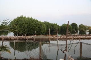 Kandal Theeram Farms - 1