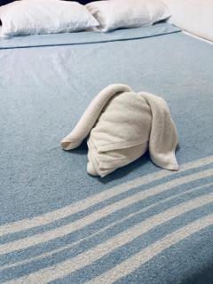 Private Shawn Guest House - 9