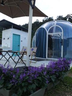 The Starry Dome Family Room 2A 2K - 5