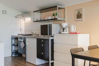 Tinyhouse Spiegelpeer - Ruinerwold - 6