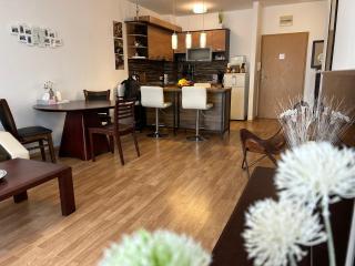 Edmond Apartment-Highspeed-Internet-Free! - 5