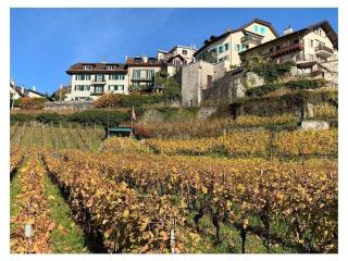 La Vigneronne, Tuin - Blonay - 0