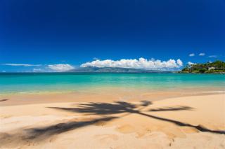 2915 Kapalua Ridge - Kahana - 5