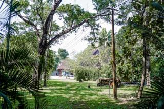 Marari Beach Palace - 2