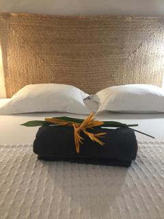 Villa vue de rêve mer & forêt primaire - 3