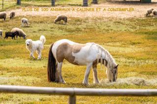 Villa et grand jacuzzi six personnes, en pleine nature - Saint-Joseph - 5