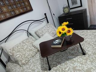 Stefiniki Apartment - Psakoudia - 0