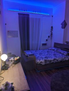 Show House - Turin - 9
