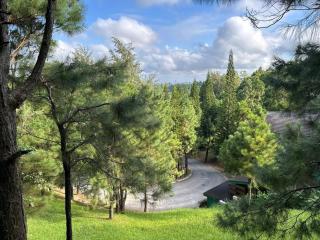 Crosswinds Resort Deluxe Condo Suite - 4