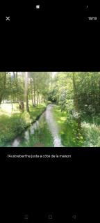 La forêt du Paulu - Saint-Pierre-de-Varengeville - 1