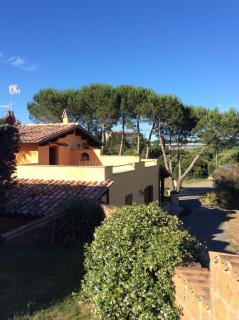 Agriturismo Vallesessanta - Grotte di Castro - 4