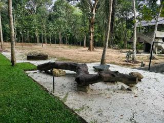 Kumbuk Yaaya Bungalow - 1