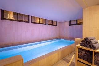 SOWELL HOTELS Le Parc & Spa - Briançon - 8