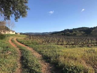 Appartement neuf, climatisé, piscine, terrasse - La Londe-les-Maures - 1