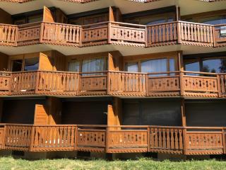 Plein Sud 2106 - Studio balcon 4 pers - Les Deux Alpes - 2