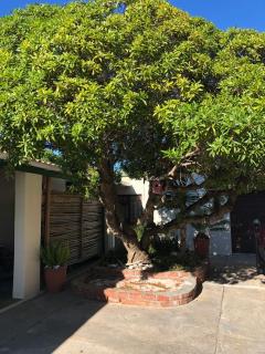 Old Cape Last Trading Post - Struisbaai - 3