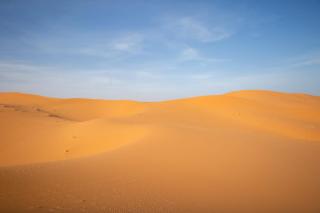 Merzouga Wildlife Desert Camp - Merzouga - 8