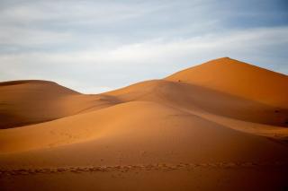 Merzouga Wildlife Desert Camp - Merzouga - 4