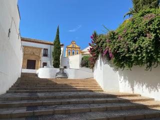 SUITES DEL MAR y SUITE DE CÓRDOBA - Apartmentos en pleno centro - Córdoba - 8