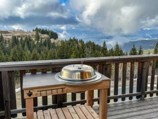 1A Chalet Koralpenzauber - Wandern, Grillen, Sauna und Traumblick - Wolfsberg - 9
