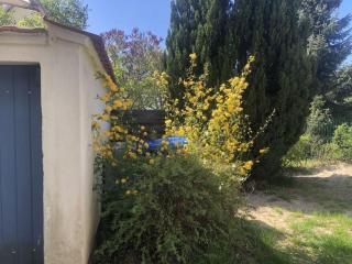 Katis Nest Comfortable holiday residence - Wieck - 4