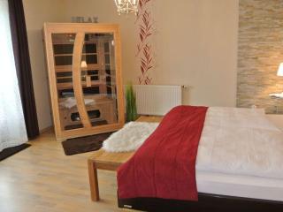 Kiesenberg 9 Comfortable holiday residence - Thanstein - 3