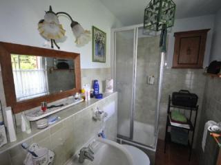 Red-throated diver Modern retreat - Putgarten - 3