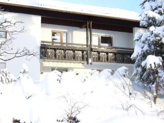 Haus Nett Modern retreat - Stiefenhofen - 8