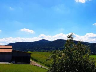 Holiday apartment Haus Leutner Bavarian Forest - Bodenmais - 1